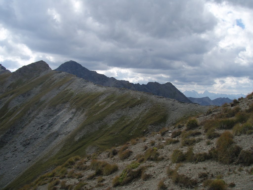 Pic du petit Rochebrun (3140m ) de la crête des eaux pendantes by Chamois agile