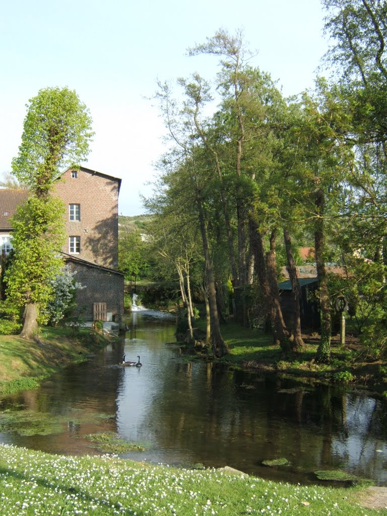 Moulin de DANNES by joel.herbez