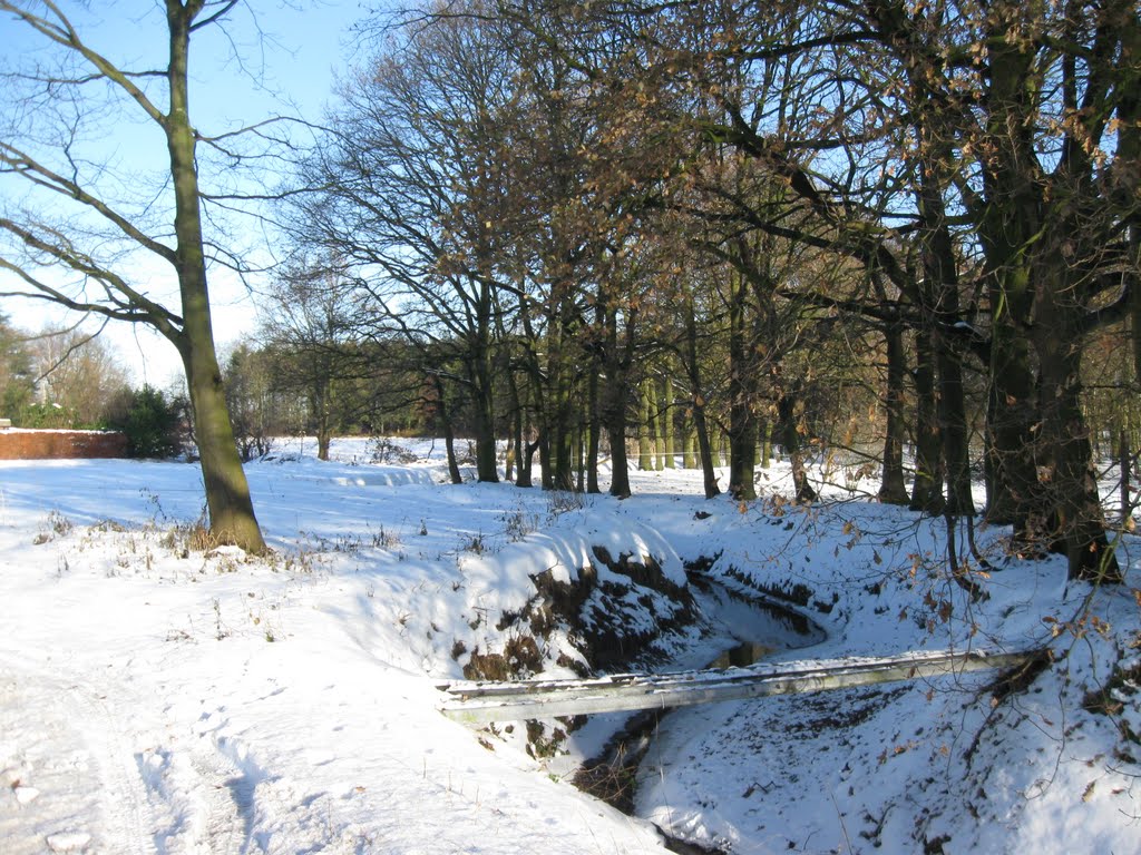 Kleine Mark stream, Rijkevorsel, Belgium by Lucien Kivit