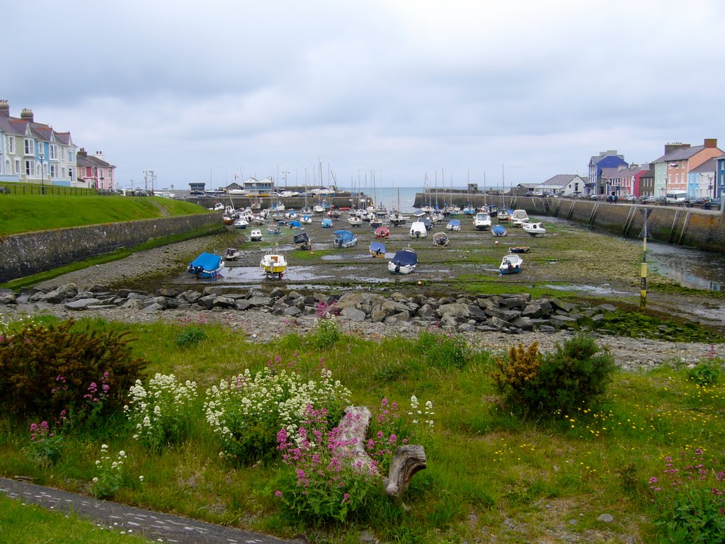 Aberaeron Harbour by Aaron Proctor