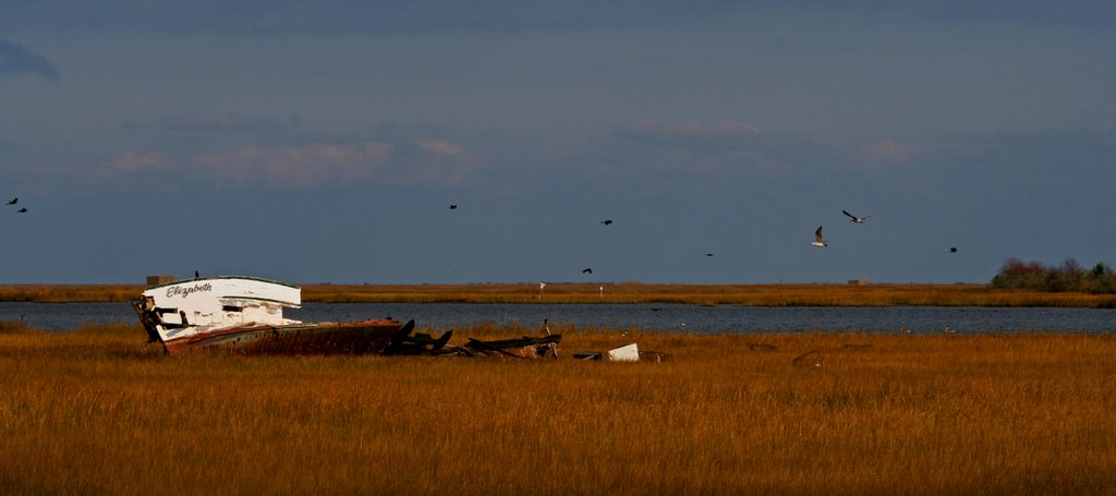 Old Deadrise in Poquoson by Heath Cash