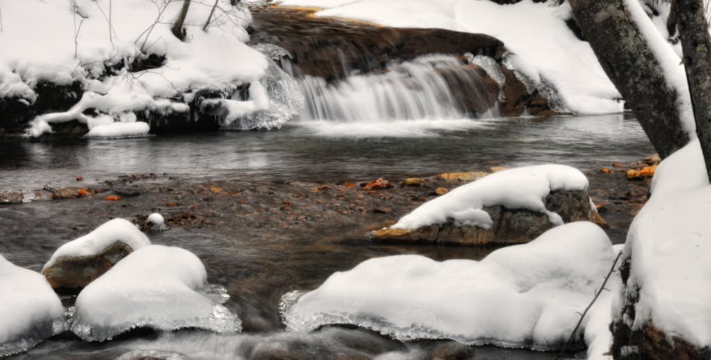 Franconia Notch State Park, NH by Charles Dastodd