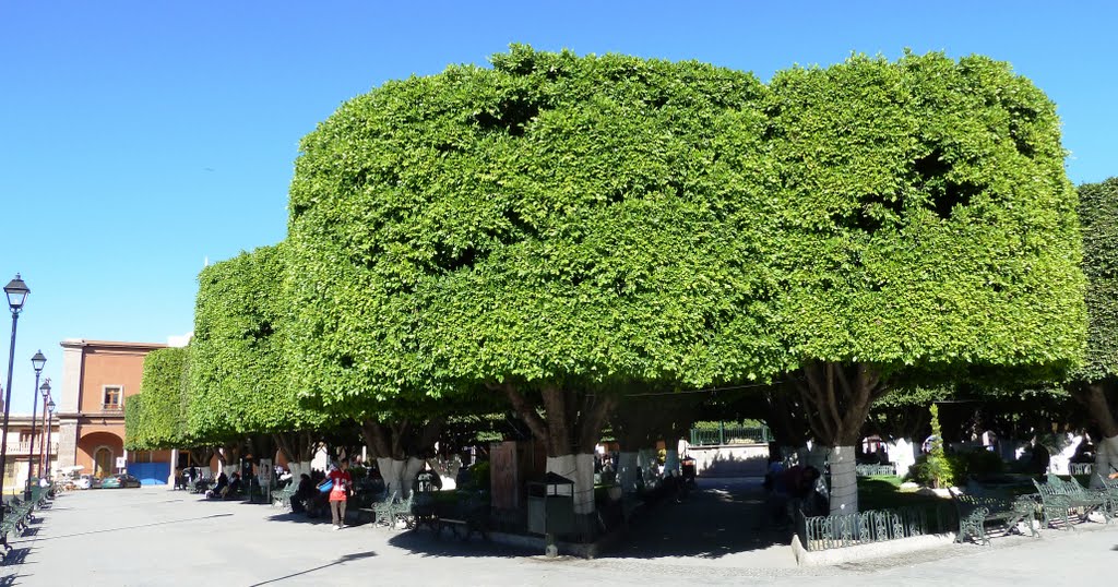 CENTRO DE CORTAZAR GUANAJUATO by KSV_Z