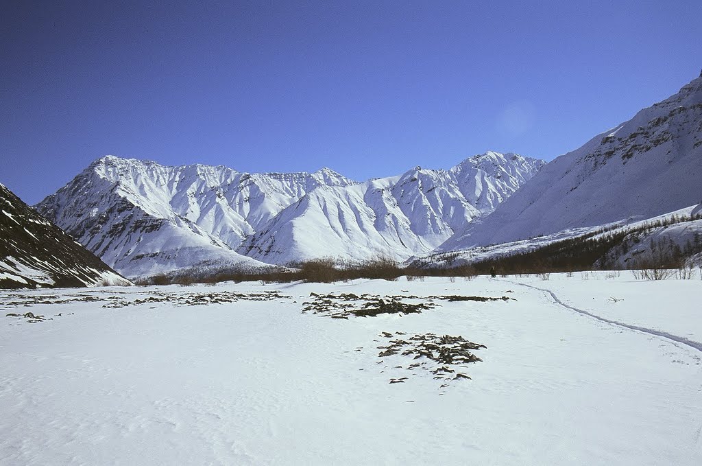 Eveno-Bytantaysky National District, Sakha Republic, Russia by Otto Chkhetiani