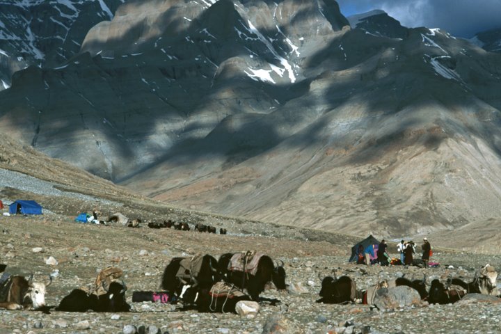 Camp below Kailash North Face by Dirk Jenrich