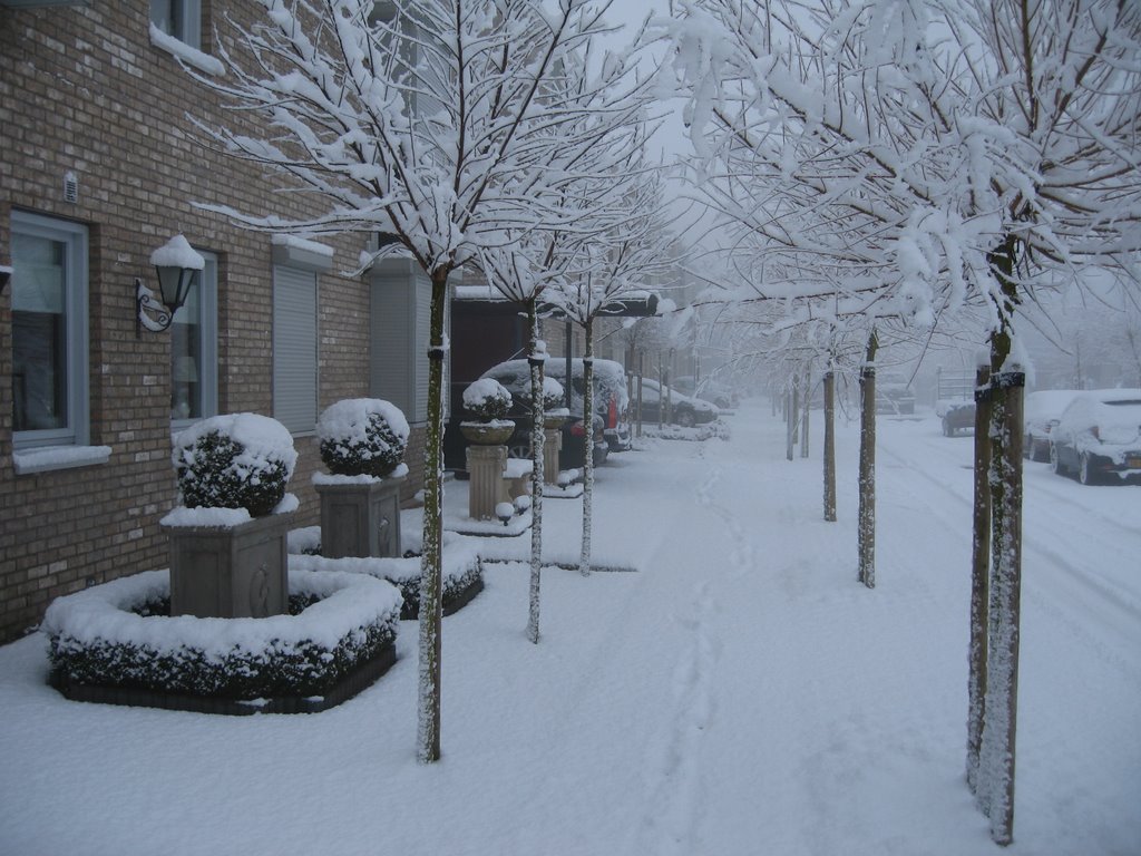 Landfortlaan in the snow by Dennis Lobel