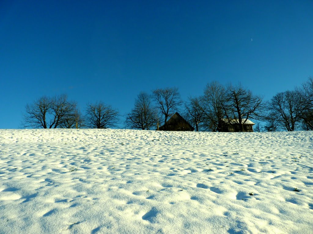 Zugerberg by Alejandra Lingg Garc…