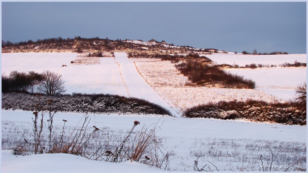 Winter fields. by Artur Drogosz