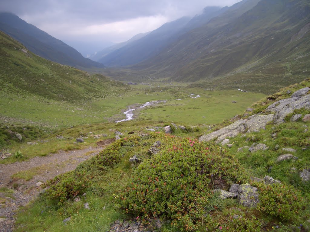 AC2005: Auf dem Weg zum Scaletta-Pass by rotwildbike