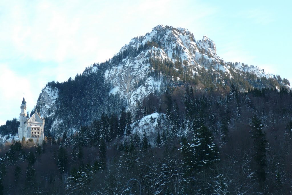 Schloss Neuschwanstein In Winter by njellis