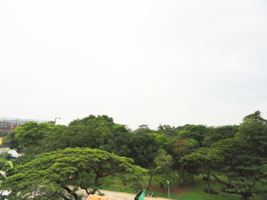 Victoria Park (Now Viharamaha Devi Park) by Senanayaka Bandara