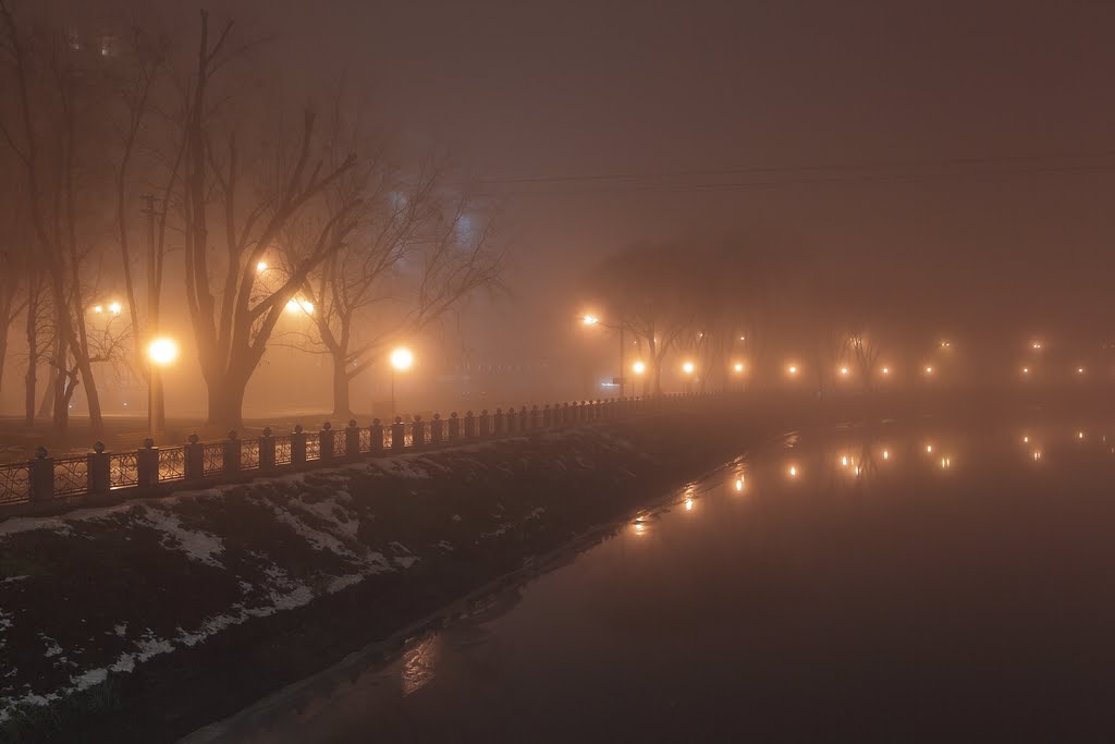 In fog by Mykhailo Krasnopolsk…