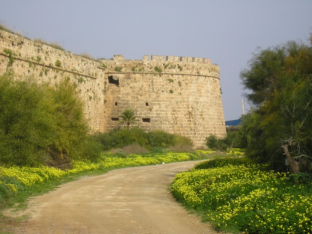 Spring in the Famagusta 05 by petersuf@centrum.sk