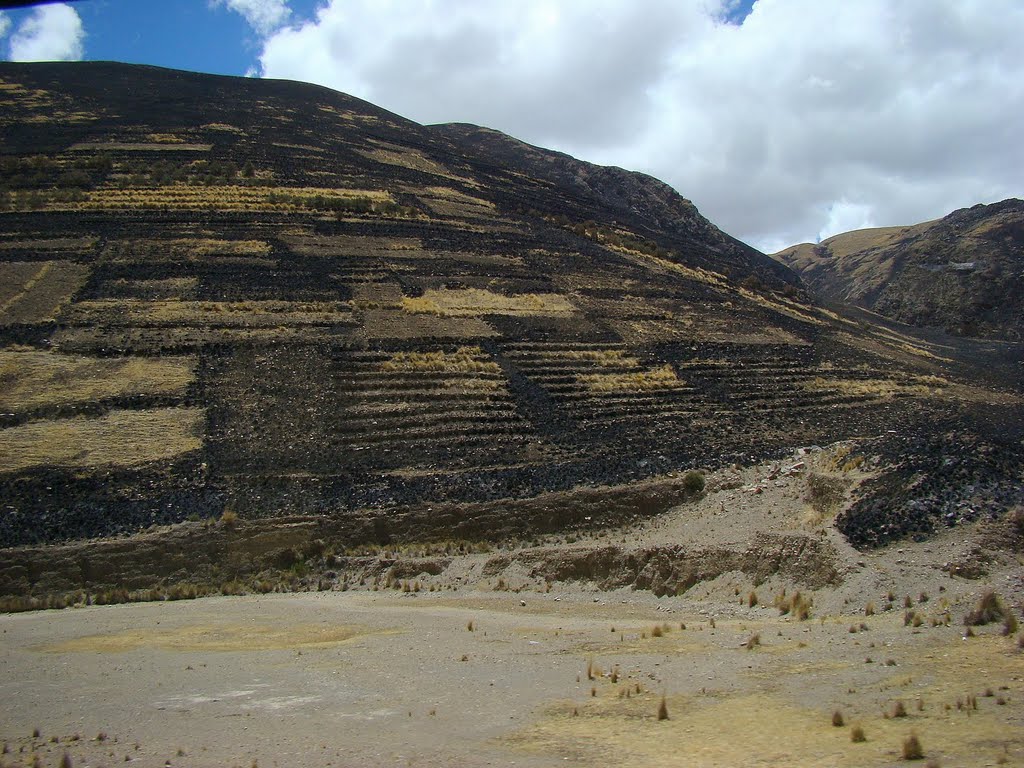 Route 3S Puno-Cusco, les Andes près de Santa Rosa (alt 4117 m) by frédéric429