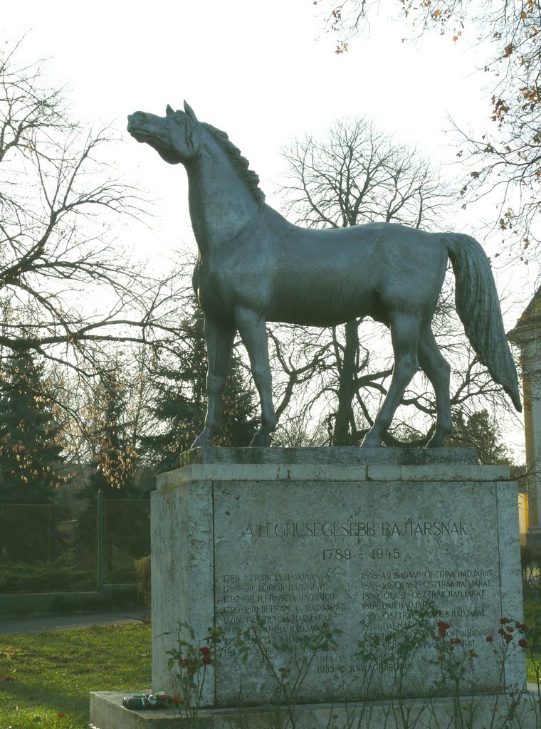 BÁBOLNA:.Lovas emlékmű: "A LEGHŰSÉGESEBB BAJTÁRSNAK" 1789-1945 by gerebics lajos