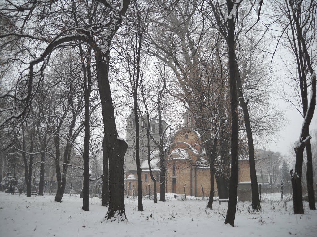 View of the temple through the park and mist by Strahinja Vlajovic