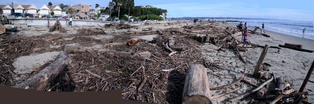 Driftwood on Capitola beach after winter storms by Edward Rooks