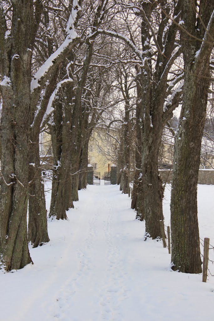 Das offenstehende Tor zum Stift im Winter by Karin.E.D