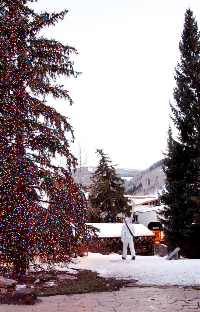 Vail Christmas Tree, 2010 by Ash Cook