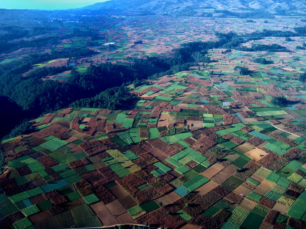 Like a Chess board, near Lake Atitlan #sc by Cassio Scomparin