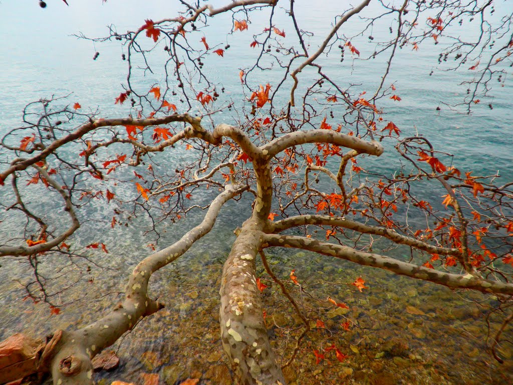 Λίμνη Τριχωνίδα - Lake Trichonida by 2 - Vangelis Doutsio…