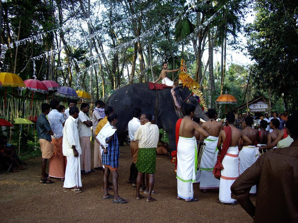 Temple festival in Kerala by Bernhard Hiller