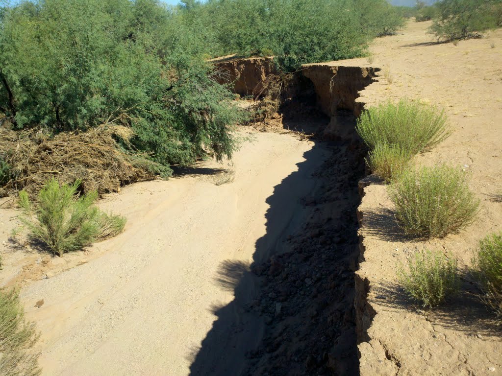 A Natural Wash In the Desert Near Picacho/Red Rock by CWanamaker