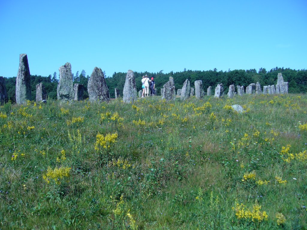 Blomsholm Stone Ship, 20080731 by RainoL