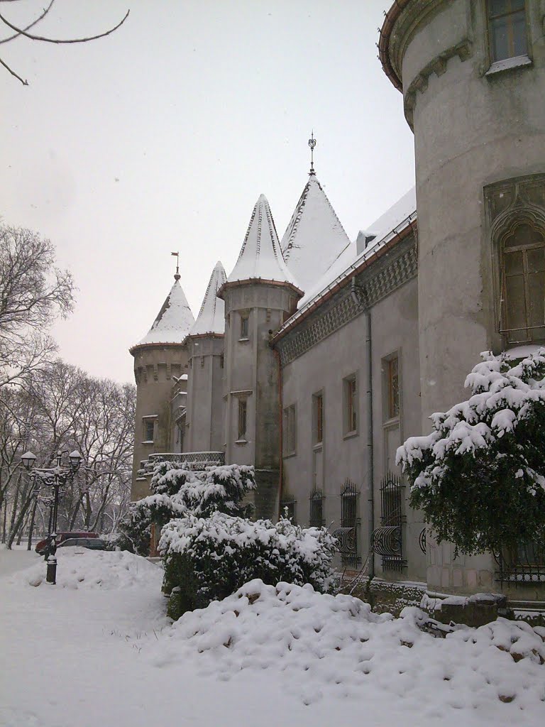 Old castle in Carei - Nagykároly by Son of encouragement