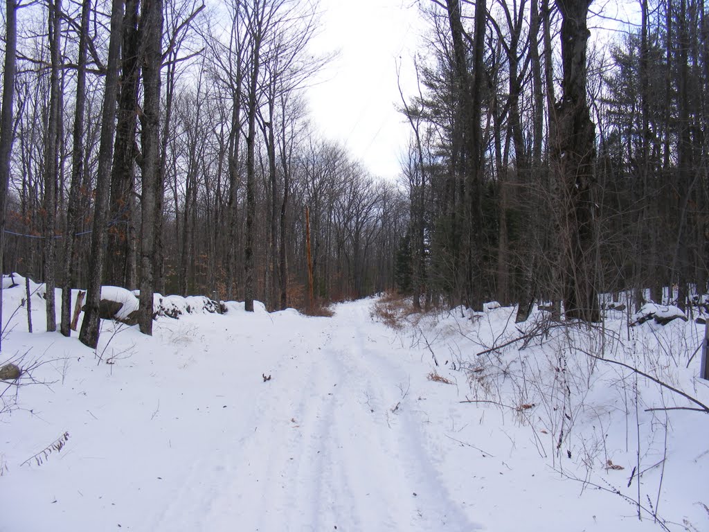 Hancock Rd in winter. by JBTHEMILKER