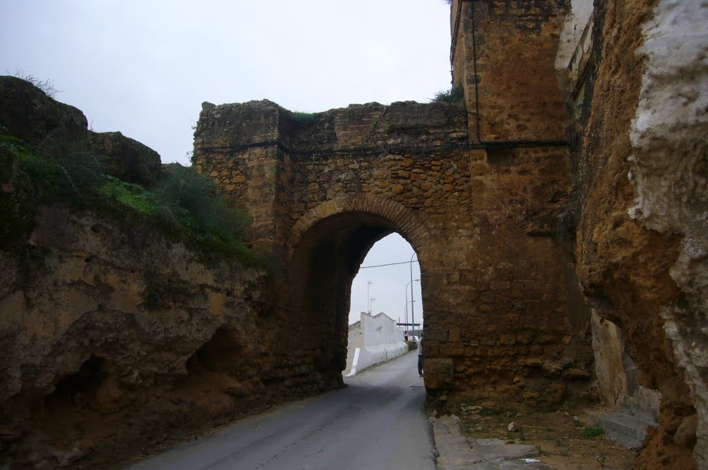 Puerta del Castillo, Alcala de Guadaira by LOLIKA