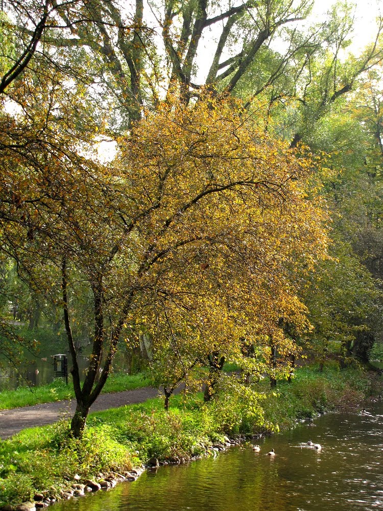 Park Miejski im. Książąt Pomorskich by fajna_asia