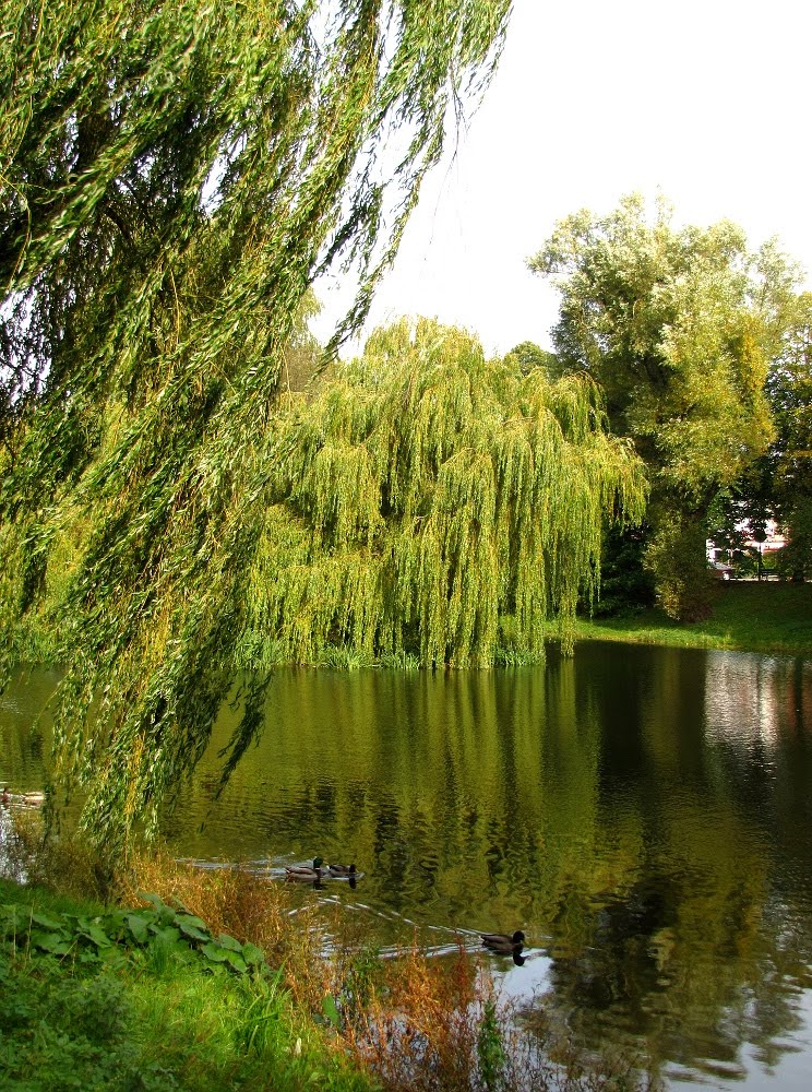 Park Miejski im. Książąt Pomorskich by fajna_asia