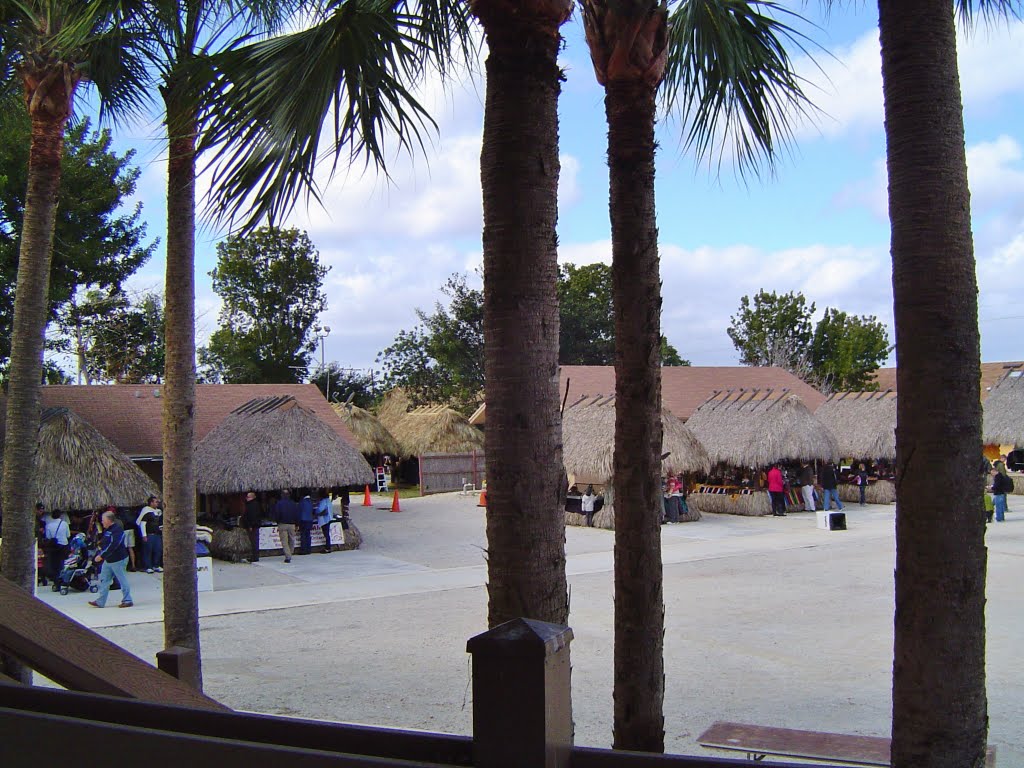 Kioscos entre palmeras de la Villa de los Indios Miccosukees. by JOSE GARCIA CABEZAS