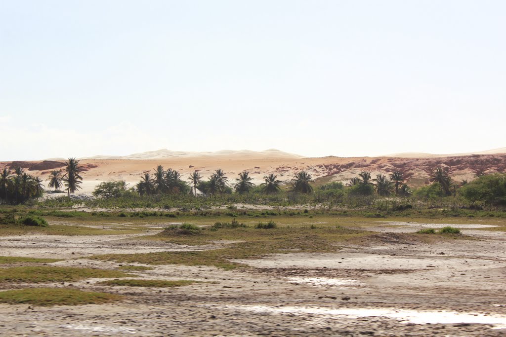 Dunas a beira da estrada entre ponta do Mel e Porto do Mangue by Wilson Alcaras