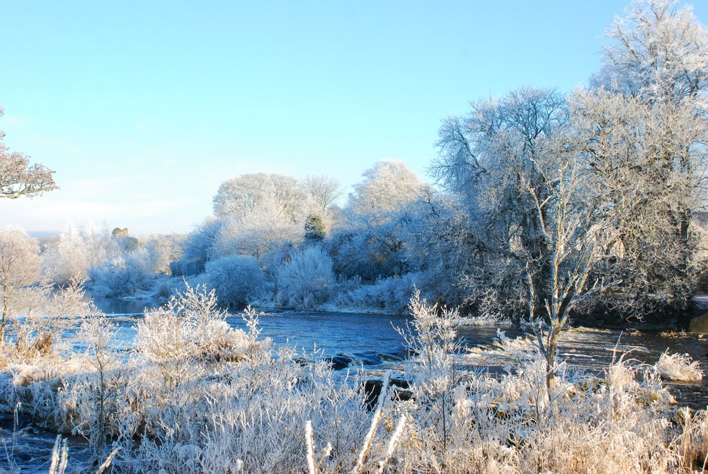 Winter Frost at River Shannon by DanProud