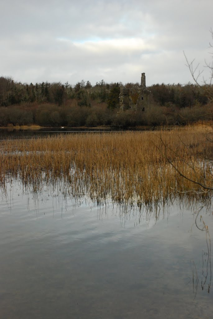 Old Castle at Dromore Lough by DanProud