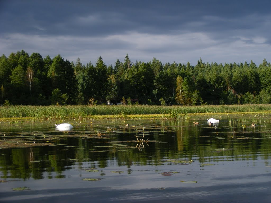 Gmina Płaska, Poland by 4TUN3