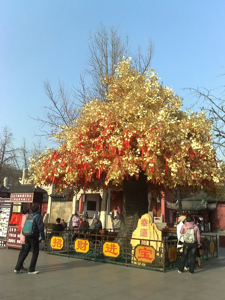 Confucius Temple, Qinhuai, Nanjing, Jiangsu, China, 210001 by newszl