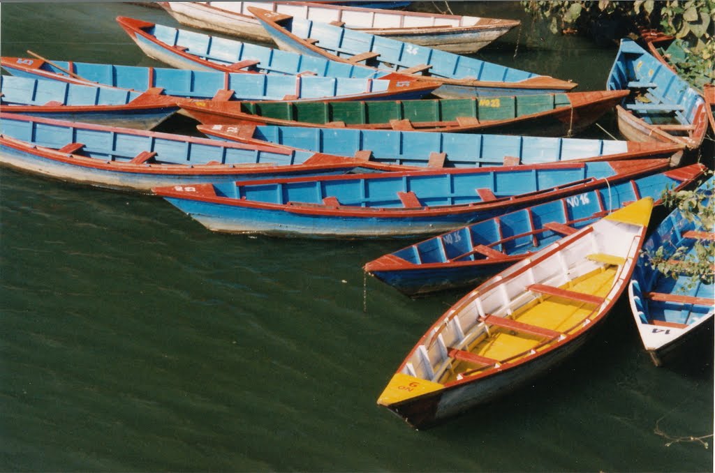 Painted Boats at Pokhara by snucklepuff