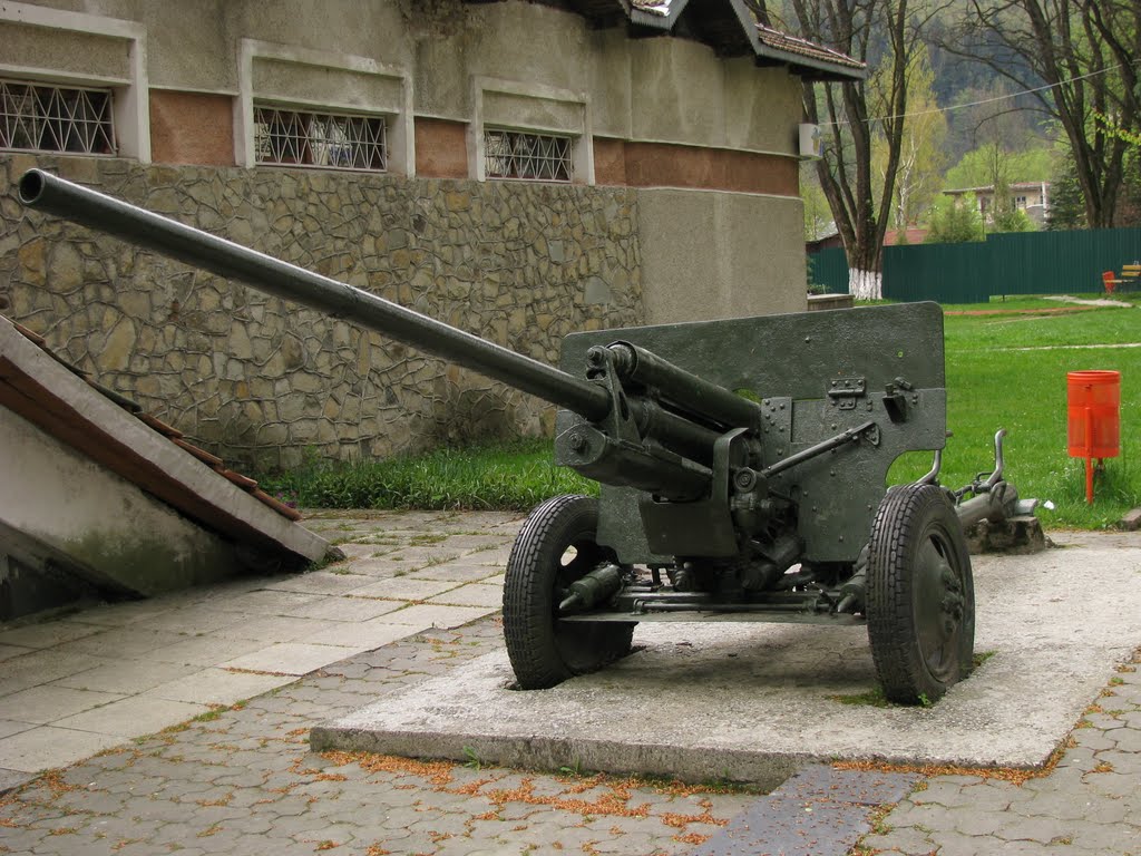 Гармата біля музею_The cannon at the museum by pitt60