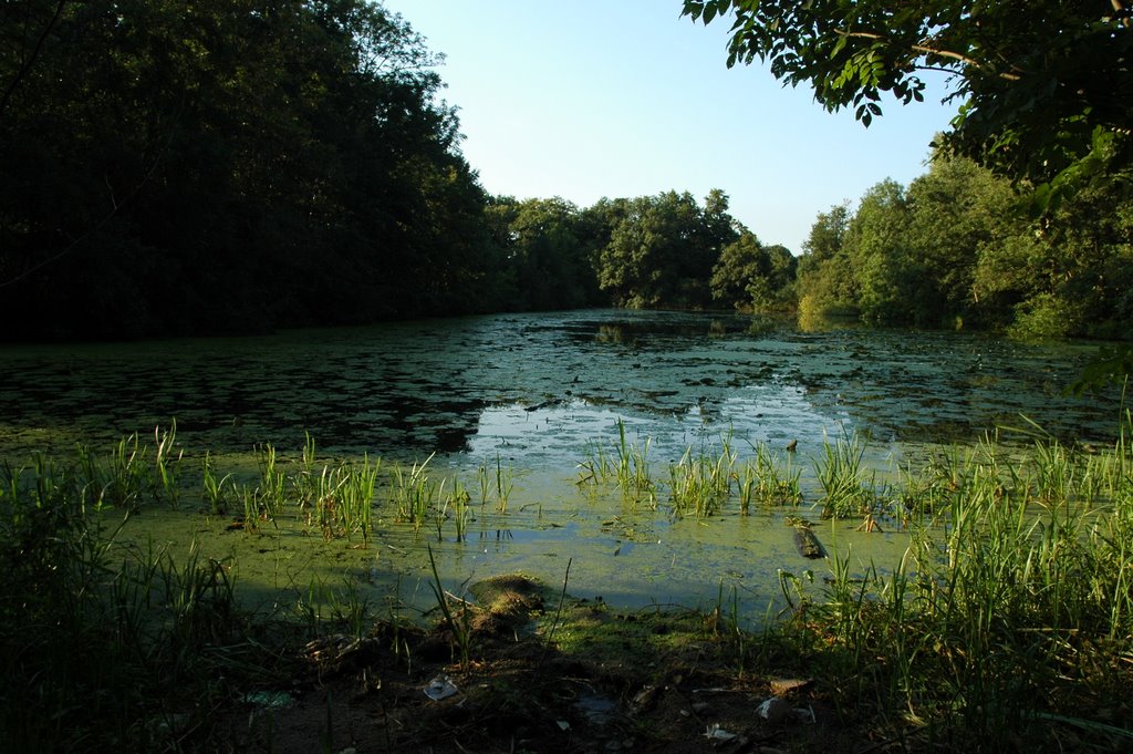 Fort de Bilt, línea de agua, Utrecht by Javier Jiménez