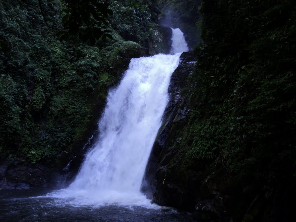 CACHOEIRA by Rudolfo Nolli