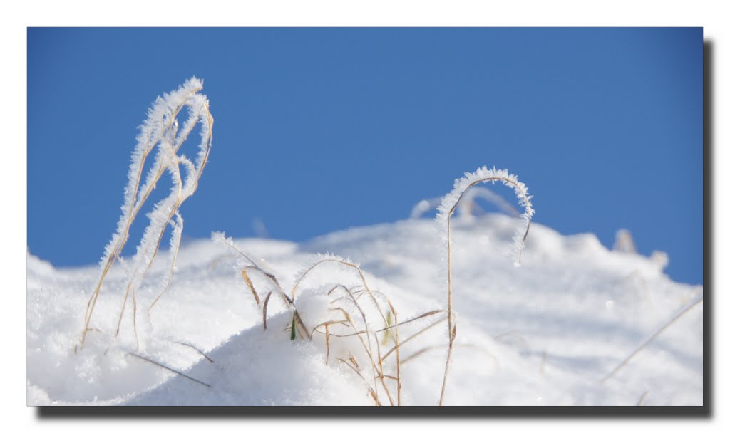 Winter Wonderland (© Pipo63) by Pipo63