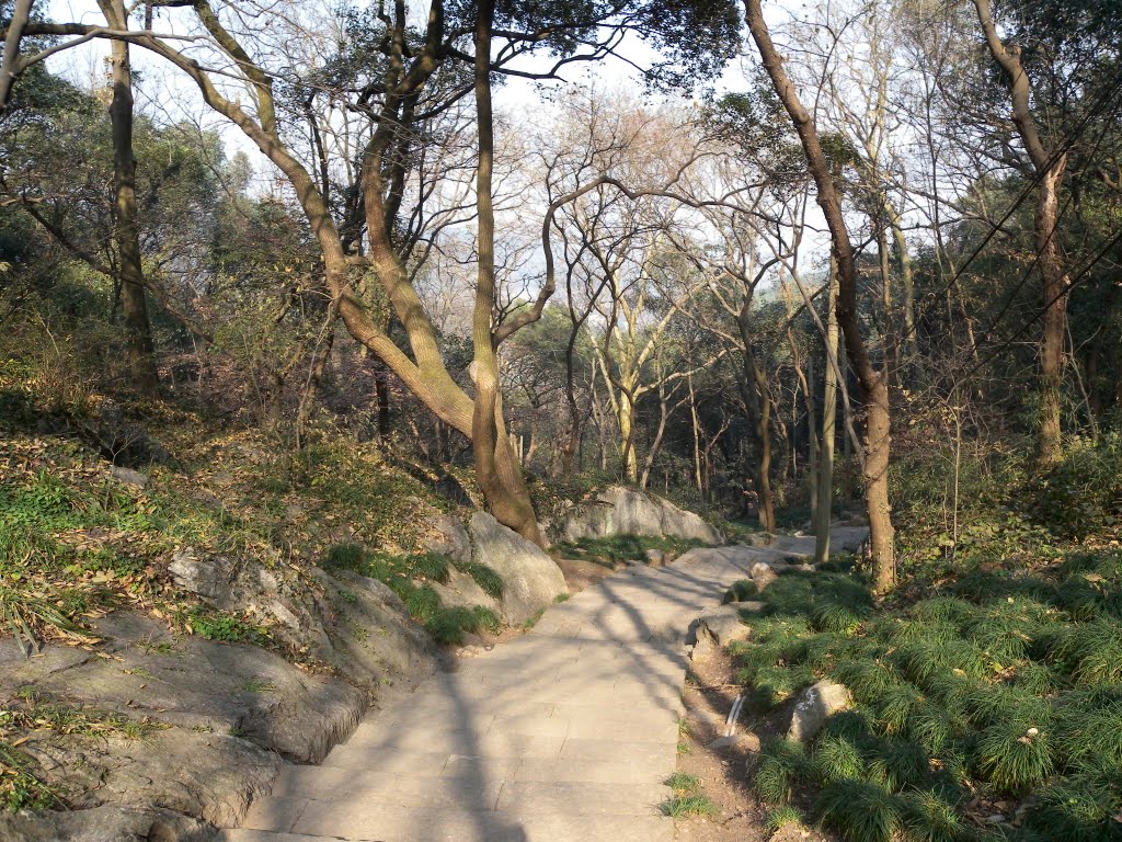 杭州爬山 Hangzhou Hiking 老玉皇宫 Old Jade Emperor Temple by cnopera.org