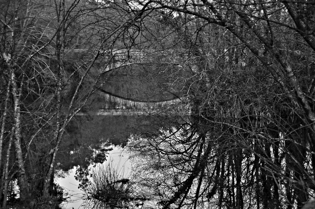 El ojo. Río Almofrei, Ponte Bora. Another bridge in the world 1. by Manuel J Núñez