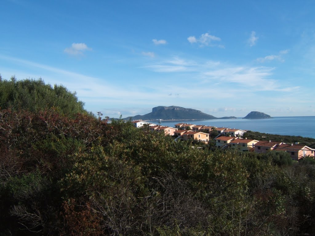 Capo Figari e isola Figarolo(Golfo Aranci-OT) by krokkas