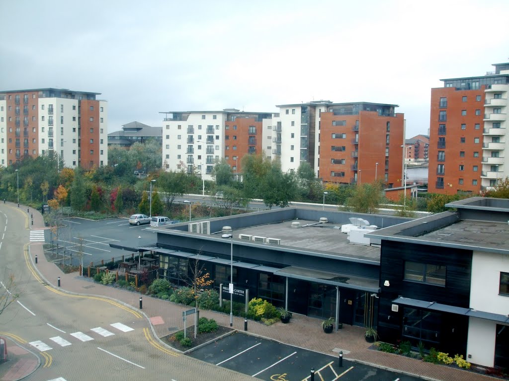 Hemmingway Road, Cardiff, Wales by rustyruth