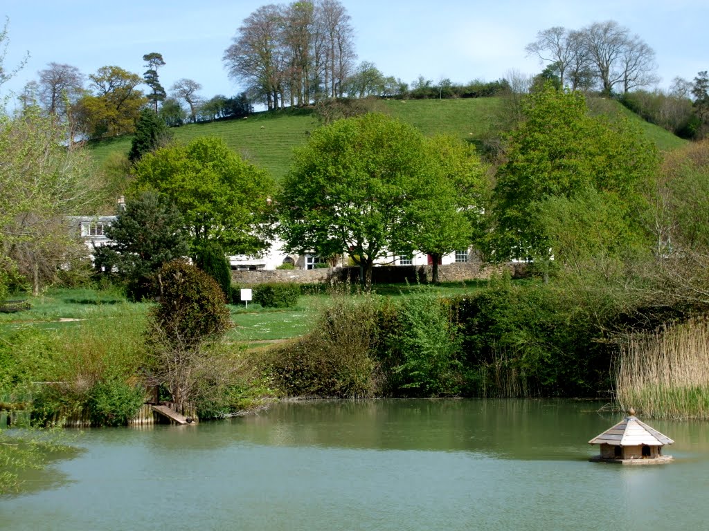 The Duck House, Glastonbury Abbey, Glastonbury by Ruth Craine