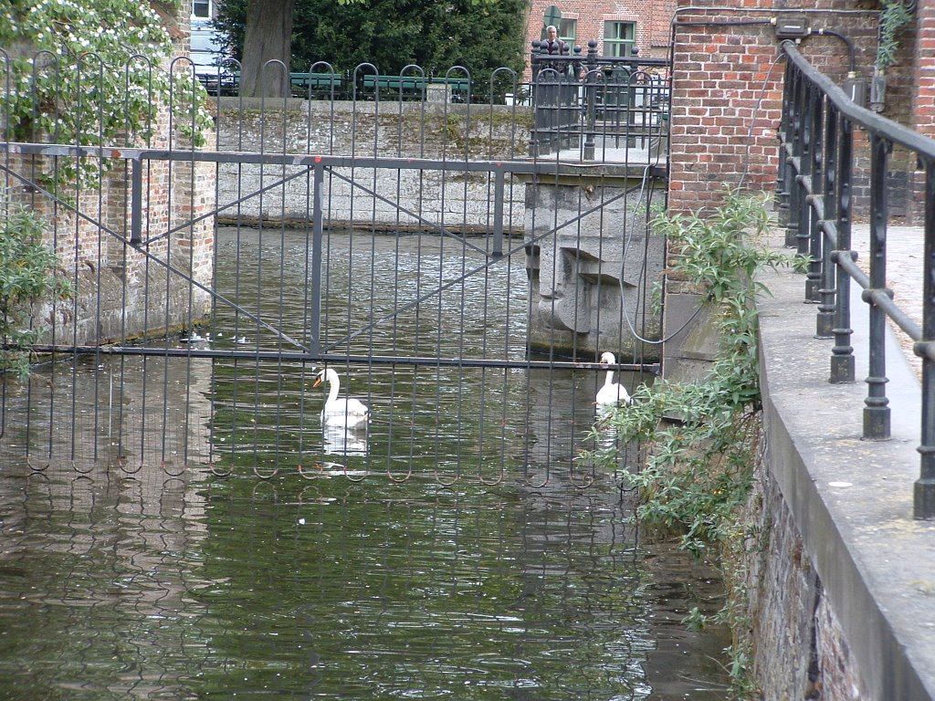 Brugge by Györgyiné Koncz Judi…